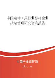中國電動工具行業標桿企業戰略管理研究咨詢報告