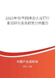 2025年版中國沖擊頭光釘行業調研與發展趨勢分析報告