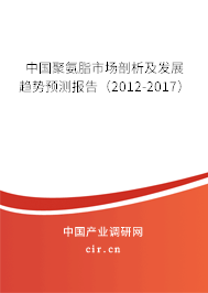 中國聚氨脂市場剖析及發(fā)展趨勢預測報告（2012-2017）