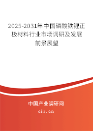 2023-2029年中國磷酸鐵鋰正極材料行業市場調研及發展前景展望