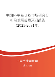 中國N-甲基丁胺市場研究分析及發展前景預測報告（2025-2031年）