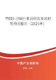 中國3-己酮行業(yè)調(diào)研及發(fā)展趨勢預(yù)測報告（2025年）