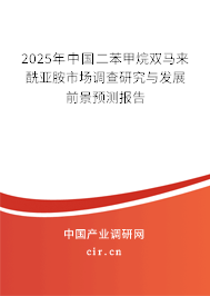 2025年中國二苯甲烷雙馬來酰亞胺市場調查研究與發展前景預測報告