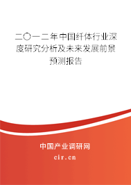 二〇一二年中國(guó)纖體行業(yè)深度研究分析及未來(lái)發(fā)展前景預(yù)測(cè)報(bào)告