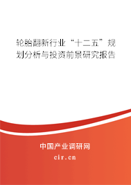 輪胎翻新行業“十二五”規劃分析與投資前景研究報告