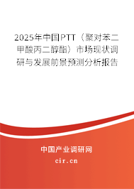 2025年中國PTT（聚對苯二甲酸丙二醇酯）市場現狀調研與發展前景預測分析報告