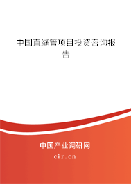 中國直縫管項目投資咨詢報告
