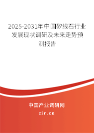 2025-2031年中國矽線石行業發展現狀調研及未來走勢預測報告