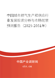中國城市燃氣生產和供應行業發展現狀分析與市場前景預測報告（2025-2031年）
