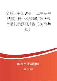 全球與中國DMF （二甲基甲酰胺）行業發展調研分析與市場前景預測報告（2025年版）