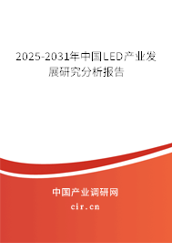 2025-2031年中國LED產業發展研究分析報告