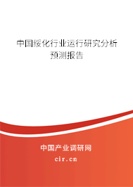 中國綏化行業運行研究分析預測報告