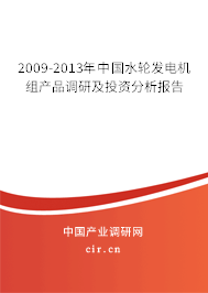 2009-2013年中國水輪發電機組產品調研及投資分析報告