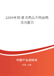 2009年快速消費品市場戰略咨詢報告