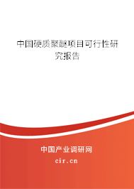 中國硬質聚醚項目可行性研究報告