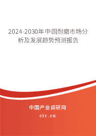 2023-2029年中國耐磨市場分析及發展趨勢預測報告