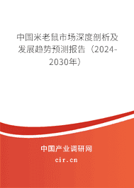 中國(guó)米老鼠市場(chǎng)深度剖析及發(fā)展趨勢(shì)預(yù)測(cè)報(bào)告（2023-2029年）
