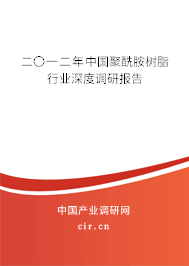 二〇一二年中國聚酰胺樹脂行業深度調研報告
