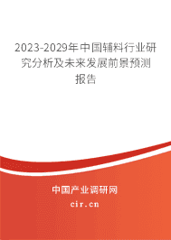 2023-2029年中國輔料行業(yè)研究分析及未來發(fā)展前景預(yù)測報(bào)告