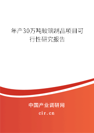 年產30萬噸玻璃制品項目可行性研究報告