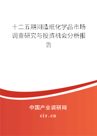 十二五期間造紙化學(xué)品市場調(diào)查研究與投資機(jī)會分析報告