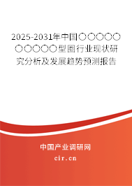 2025-2031年中國〇〇〇〇〇〇〇〇〇〇型圈行業(yè)現(xiàn)狀研究分析及發(fā)展趨勢(shì)預(yù)測(cè)報(bào)告