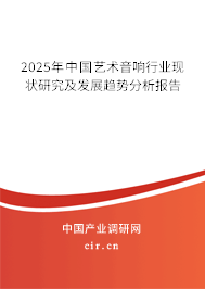 2025年中國藝術音響行業現狀研究及發展趨勢分析報告