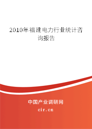 2010年福建電力行業統計咨詢報告