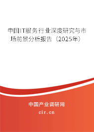 中國IT服務行業深度研究與市場前景分析報告（2025年）