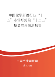 中國化學纖維行業(yè)“十一五”市場形勢及“十二五”投資前景預測報告
