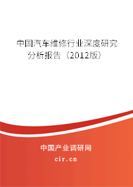 中國汽車維修行業深度研究分析報告（2012版）