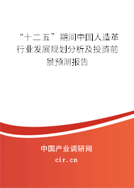 “十二五”期間中國人造革行業發展規劃分析及投資前景預測報告