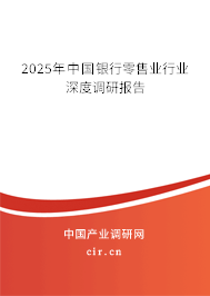 2025年中國銀行零售業行業深度調研報告