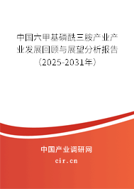 中國六甲基磷酰三胺產業產業發展回顧與展望分析報告（2025-2031年）