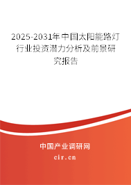 2025-2031年中國太陽能路燈行業投資潛力分析及前景研究報告