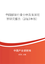 中國服裝行業分析及發展前景研究報告（2013年版）