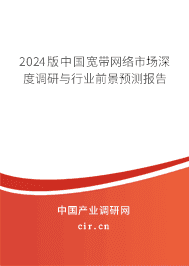2024版中國寬帶網(wǎng)絡(luò)市場深度調(diào)研與行業(yè)前景預(yù)測報(bào)告