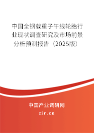 中國全鋼載重子午線輪胎行業現狀調查研究及市場前景分析預測報告(2024版) 中國全鋼載重子午線輪胎行業現狀調查研究及市場前景分析預測報告(2024版)