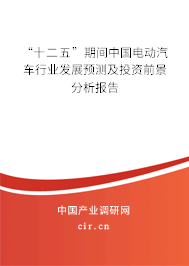 “十二五”期間中國電動汽車行業發展預測及投資前景分析報告