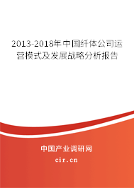 2013-2018年中國纖體公司運營模式及發展戰略分析報告