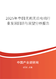 2025年中國無刷無齒電機(jī)行業(yè)發(fā)展回顧與展望分析報告