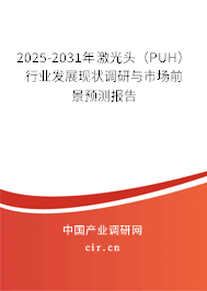 2025-2031年激光頭（PUH）行業發展現狀調研與市場前景預測報告