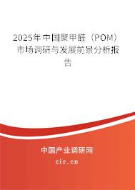 2025年中國聚甲醛（POM）市場調研與發展前景分析報告