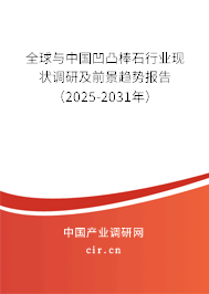 全球與中國凹凸棒石行業現狀調研及前景趨勢報告（2025-2031年）