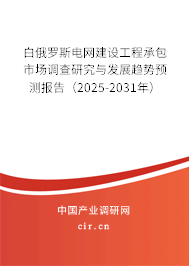 白俄羅斯電網建設工程承包市場調查研究與發展趨勢預測報告（2025-2031年）