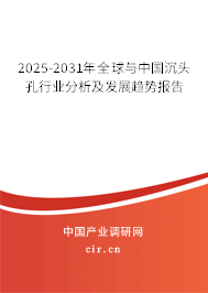 2025-2031年全球與中國沉頭孔行業分析及發展趨勢報告