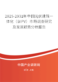 2025-2031年中國光伏建筑一體化（BIPV）市場調(diào)查研究及發(fā)展趨勢分析報(bào)告