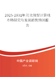2025-2031年河北微型計算機市場研究與發展趨勢預測報告