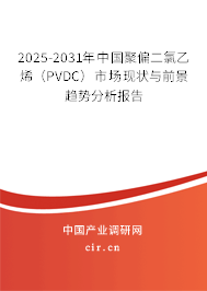 2025-2031年中國聚偏二氯乙烯（PVDC）市場現(xiàn)狀與前景趨勢分析報(bào)告