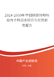 2024-2030年中國磷酸特地唑胺片市場調查研究與前景趨勢報告